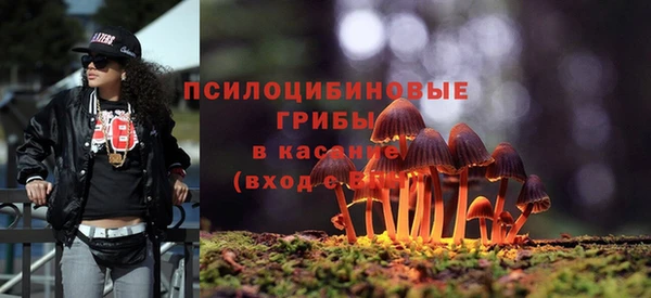 2c-b Алексеевка
