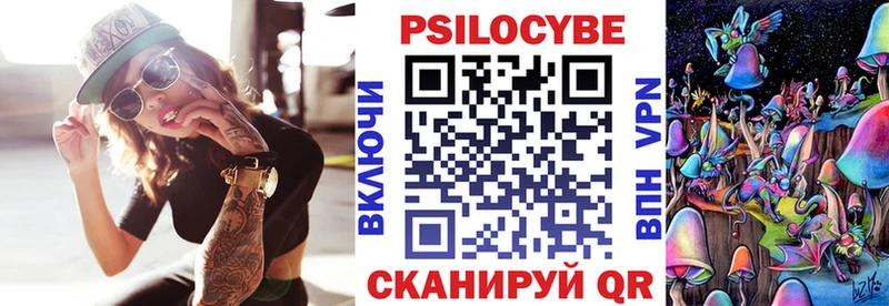 Псилоцибиновые грибы Psilocybine cubensis  Сусуман 